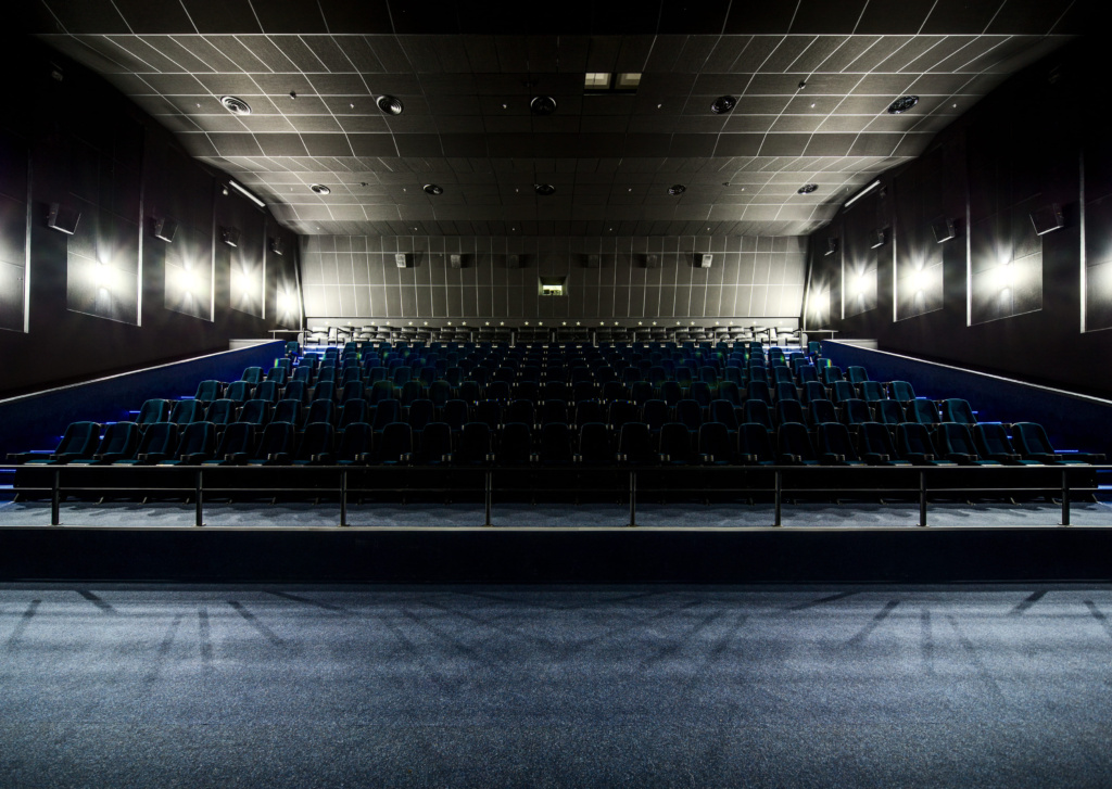 Project MULTIPLEX MAKHNO